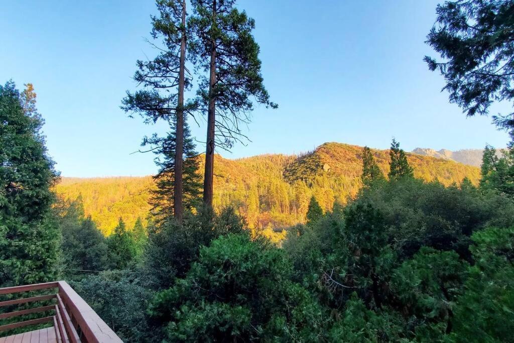 Redwood Retreat, Mountains, Adventure And Nature Ponderosa Exterior photo