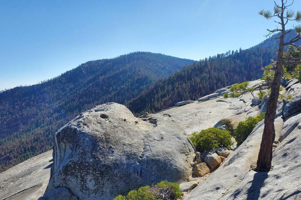 Redwood Retreat, Mountains, Adventure And Nature Ponderosa Exterior photo