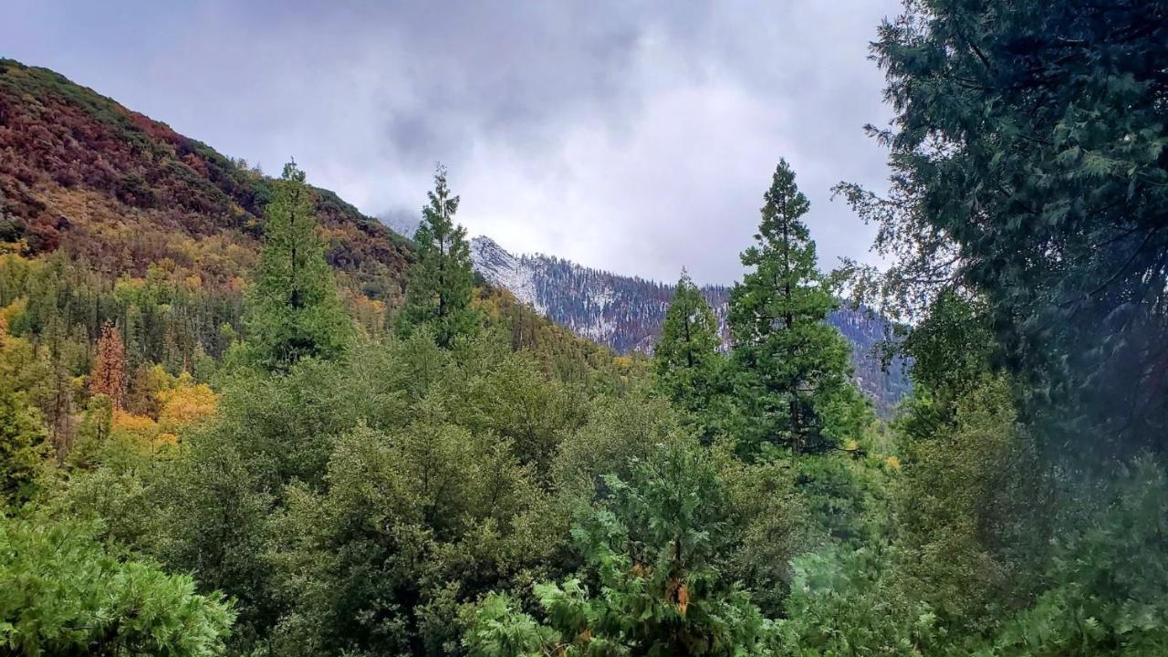 Redwood Retreat, Mountains, Adventure And Nature Ponderosa Exterior photo